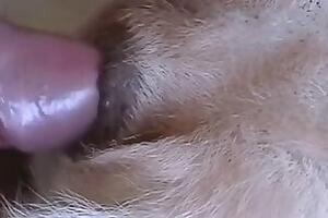 Bestiality and ZOO porn video